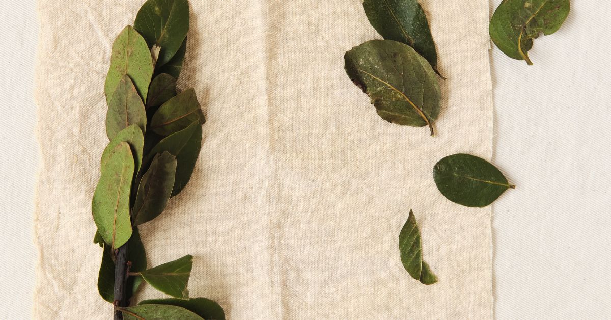 How to Dye Napkins & Pillowcases for Special Occasions with Natural, Sustainable Dyes
